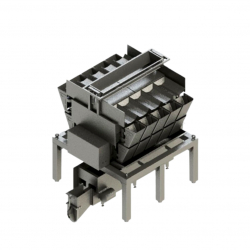 STEP 10 Head Linear Potato Weigher