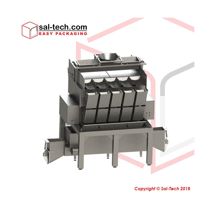 STEP 10 Head Linear Potato Weigher